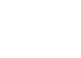 Gruppo Brescia Mobilità